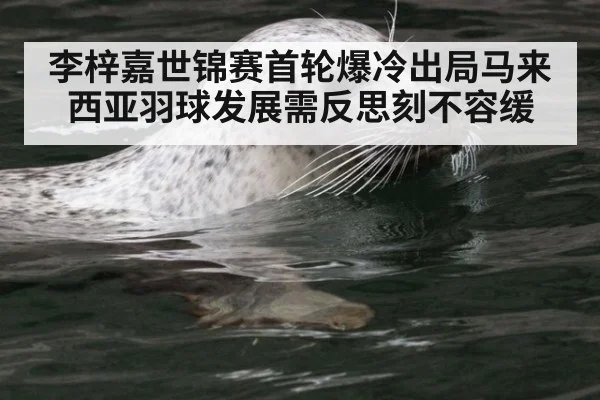 李梓嘉世锦赛首轮爆冷出局马来西亚羽球发展需反思刻不容缓